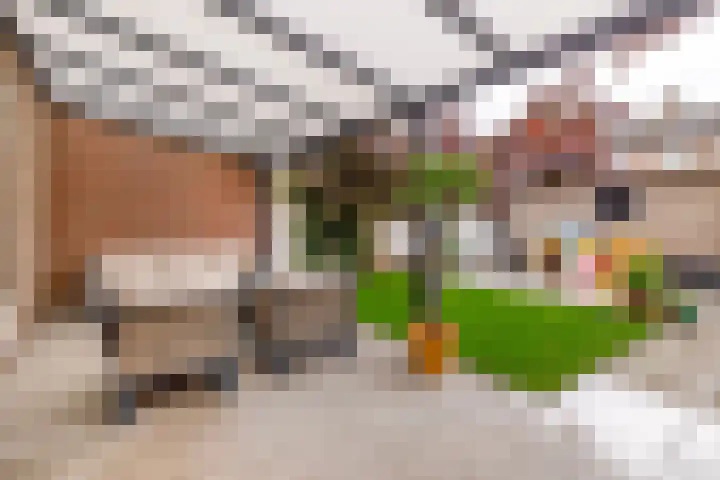 Sagitta 40 Veldhoven thumbnail 28