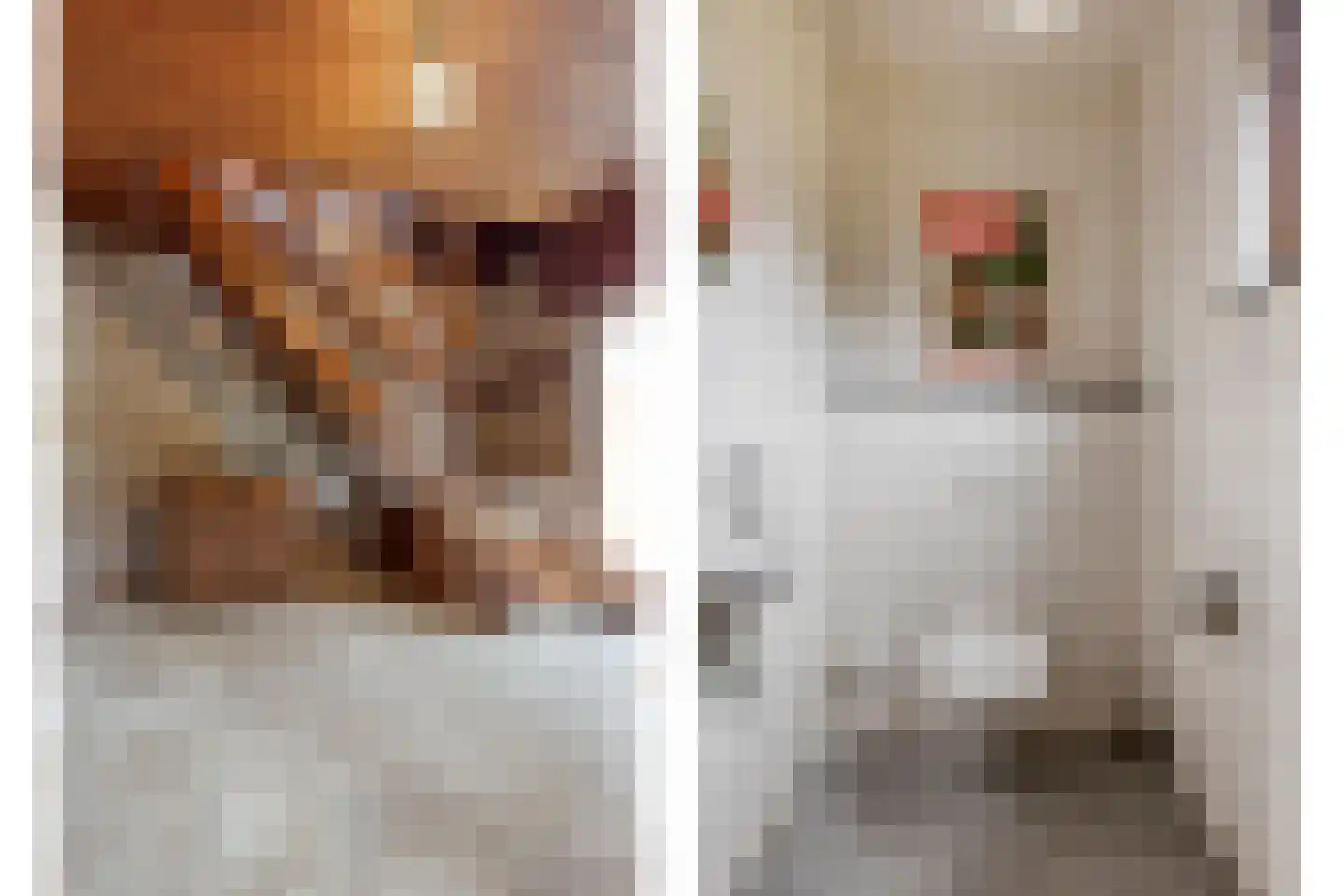 Sagittalaan 33 Eindhoven thumbnail 10
