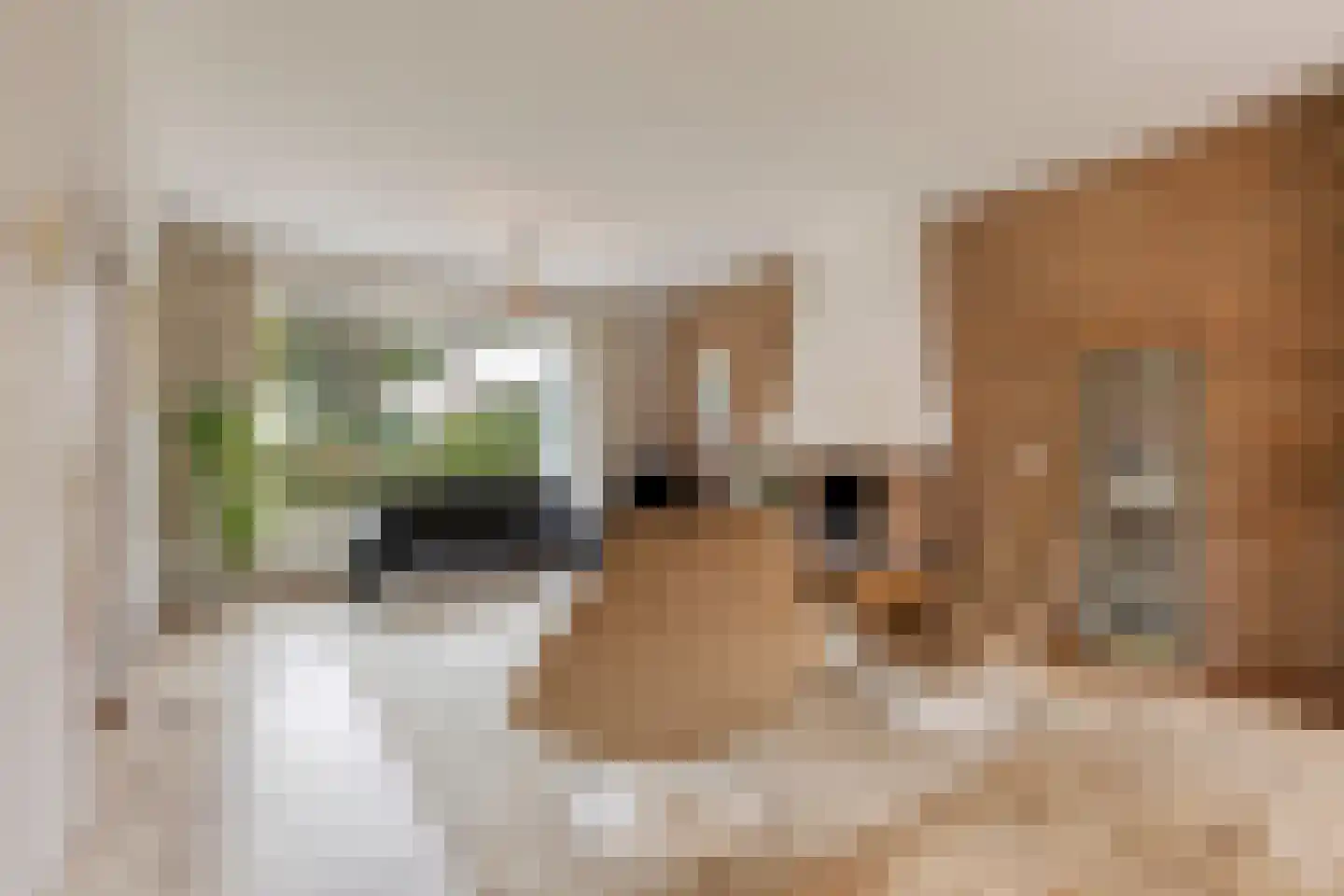 Sagittalaan 33 Eindhoven thumbnail 11