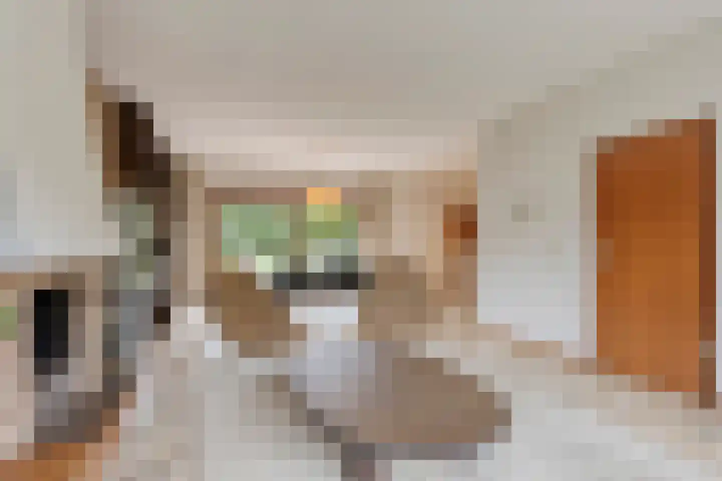 Sagittalaan 33 Eindhoven thumbnail 12