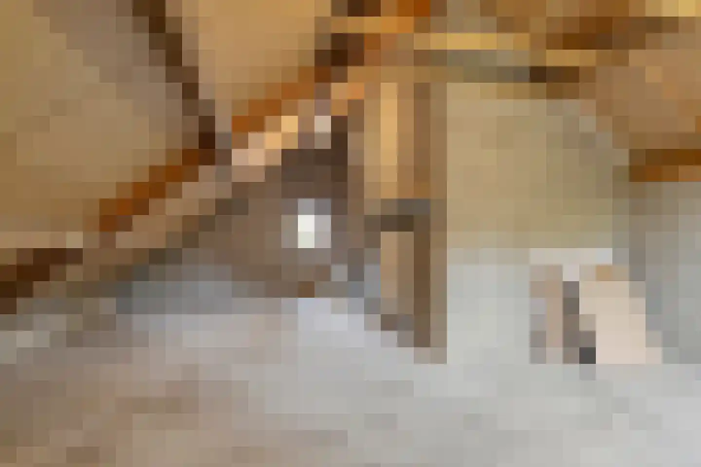 Sagittalaan 33 Eindhoven thumbnail 32