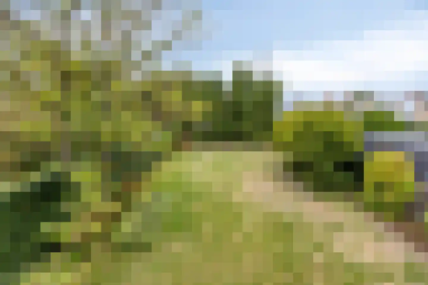 Sagittalaan 33 Eindhoven thumbnail 38