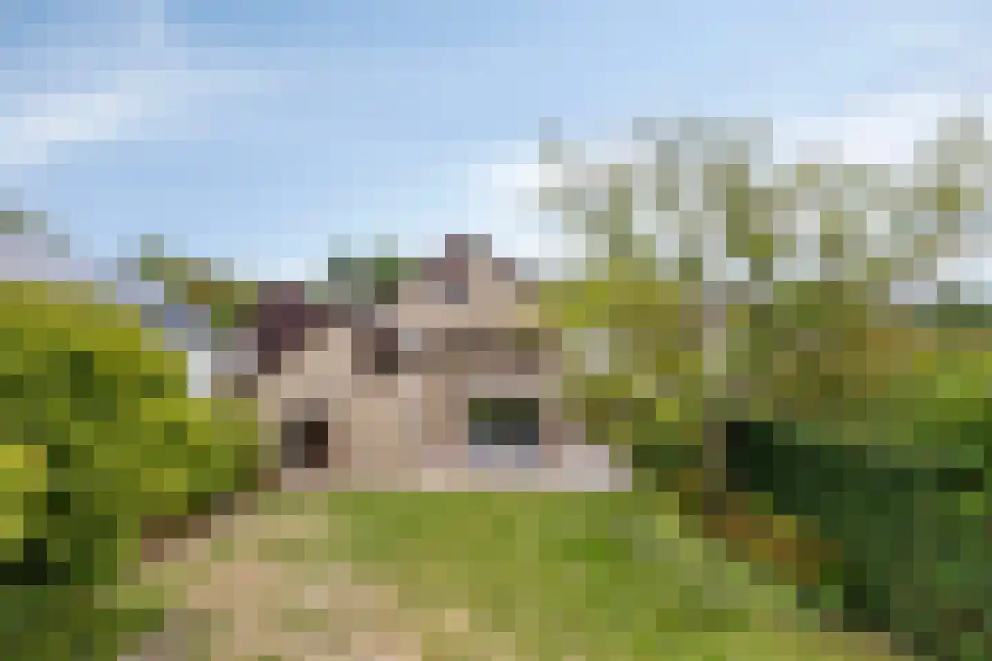 Sagittalaan 33 Eindhoven thumbnail 40