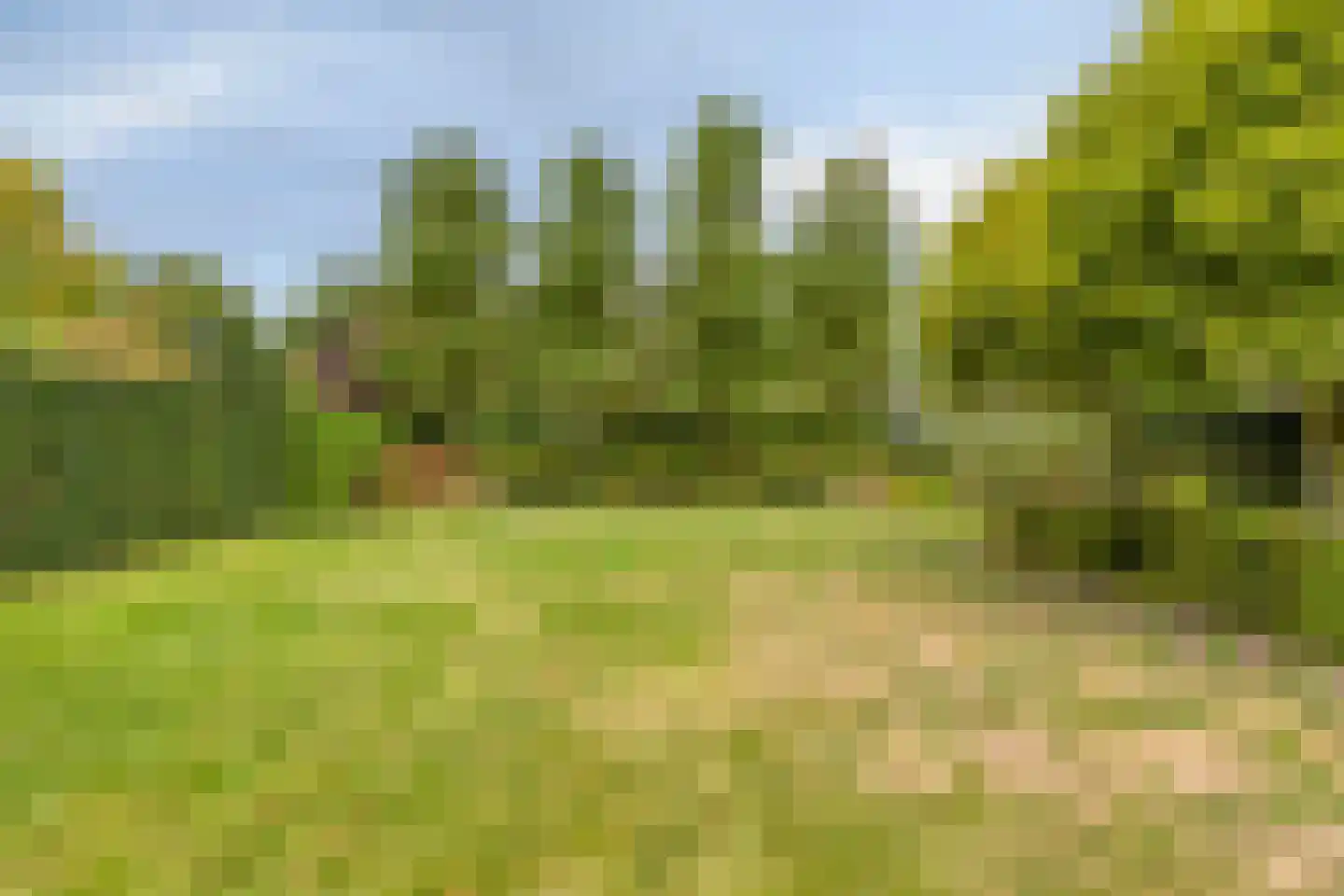 Sagittalaan 33 Eindhoven thumbnail 43
