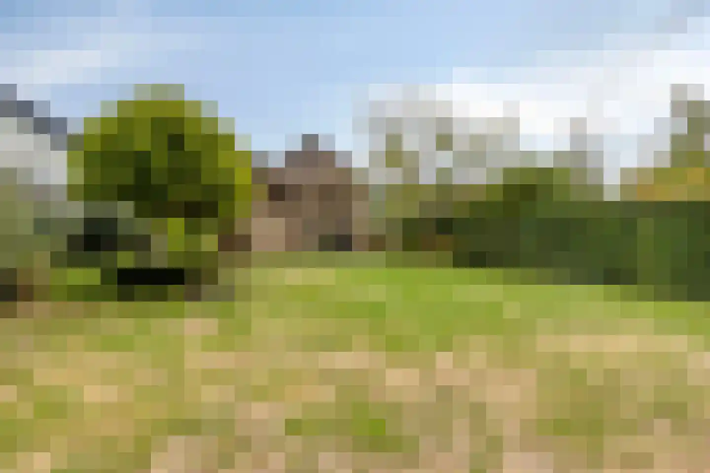Sagittalaan 33 Eindhoven thumbnail 44