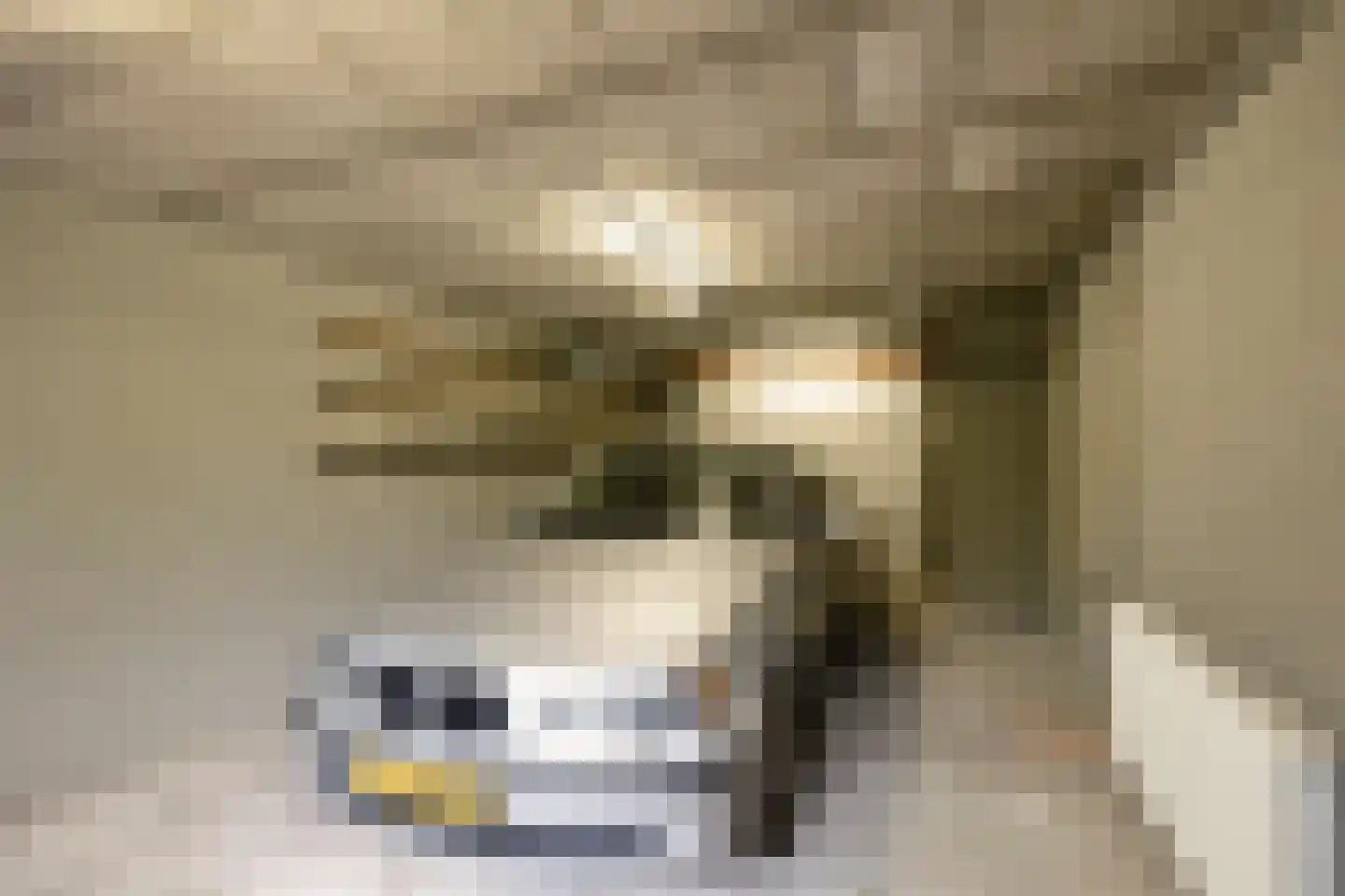 Sagittalaan 33 Eindhoven thumbnail 46