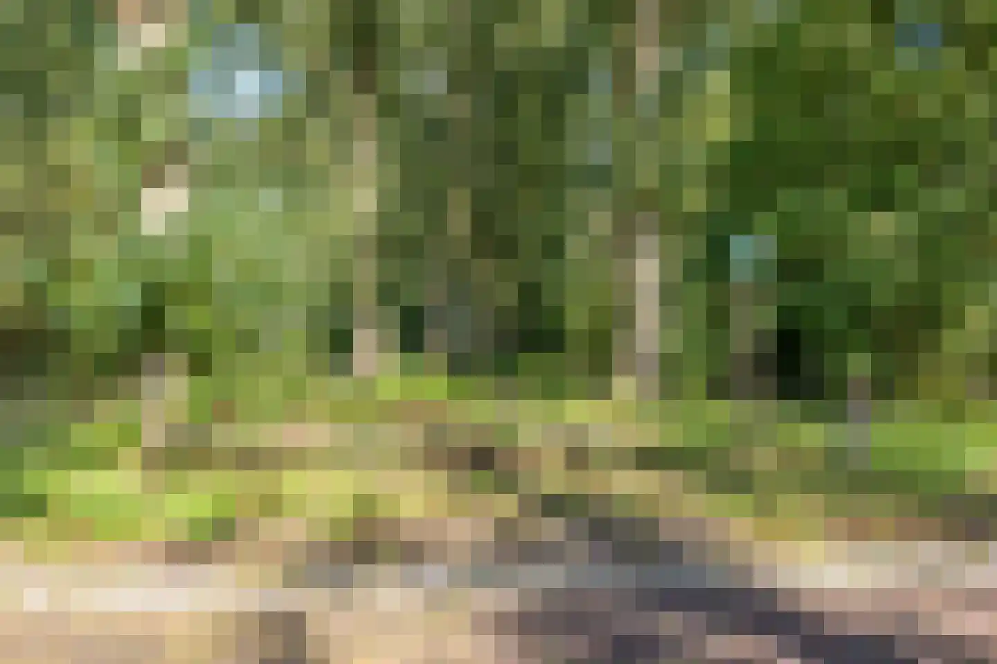 Sagittalaan 33 Eindhoven thumbnail 48
