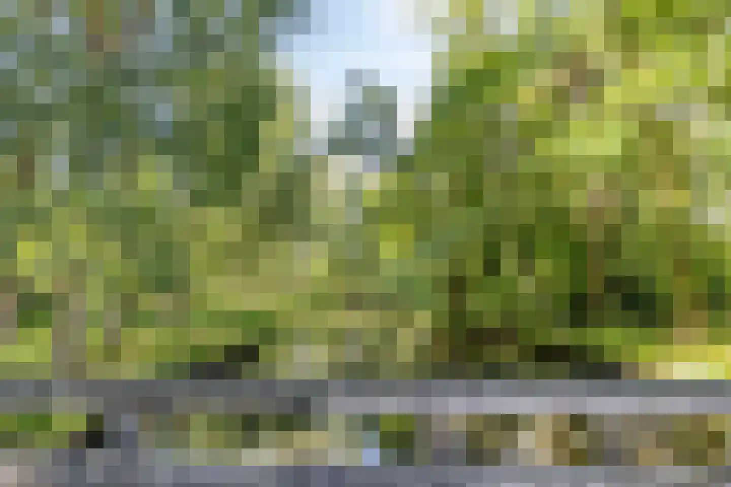 Sagittalaan 33 Eindhoven thumbnail 49