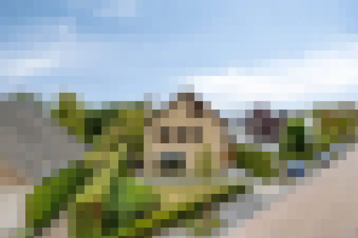 Sagittalaan 33 Eindhoven thumbnail 5