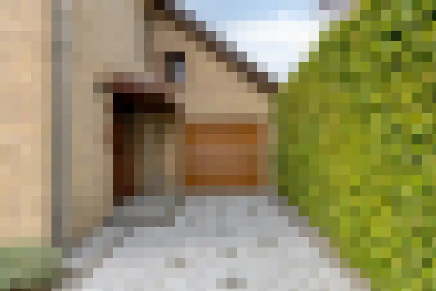 Sagittalaan 33 Eindhoven thumbnail 8
