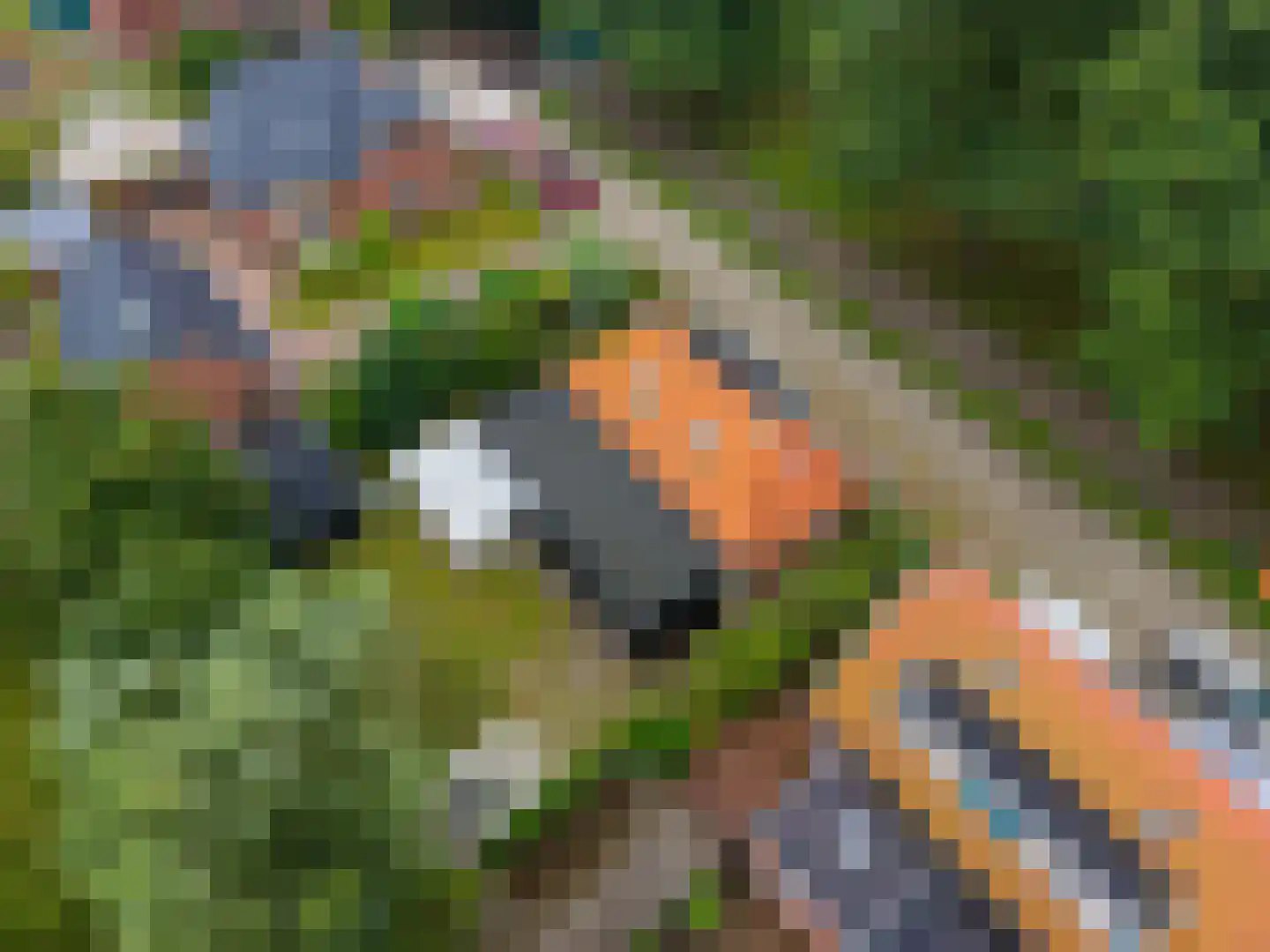 Sagittariusweg 20 Den Andel thumbnail 4
