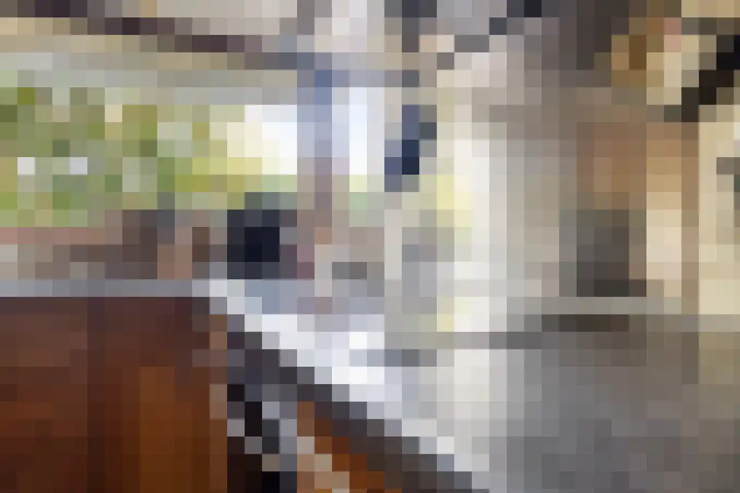 Sagittastraat 1 Rockanje thumbnail 16