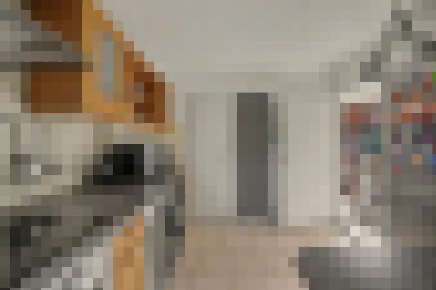 Sagittastraat 1 Rockanje thumbnail 18