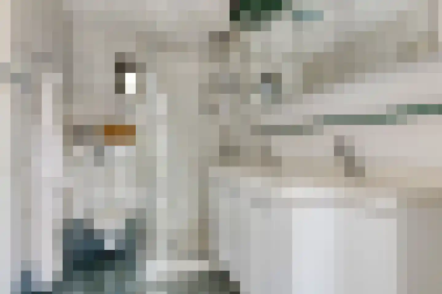 Sagittastraat 1 Rockanje thumbnail 21