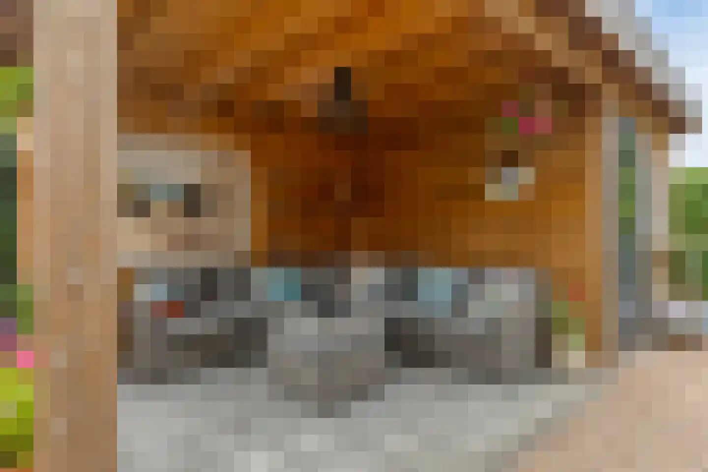 Sagittastraat 1 Rockanje thumbnail 26