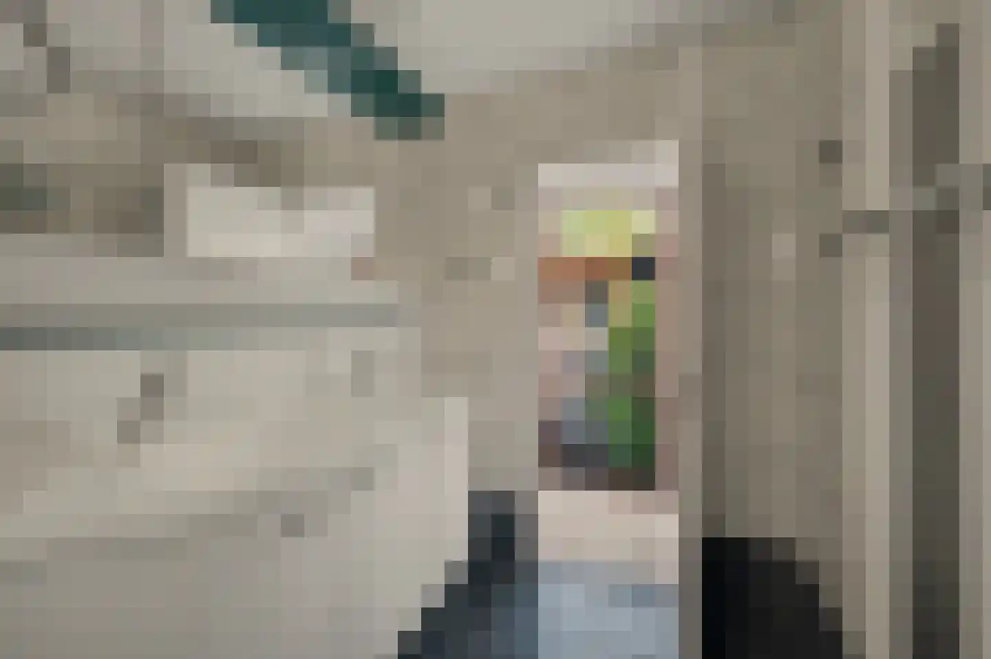 Sagittastraat 1 Rockanje thumbnail 29