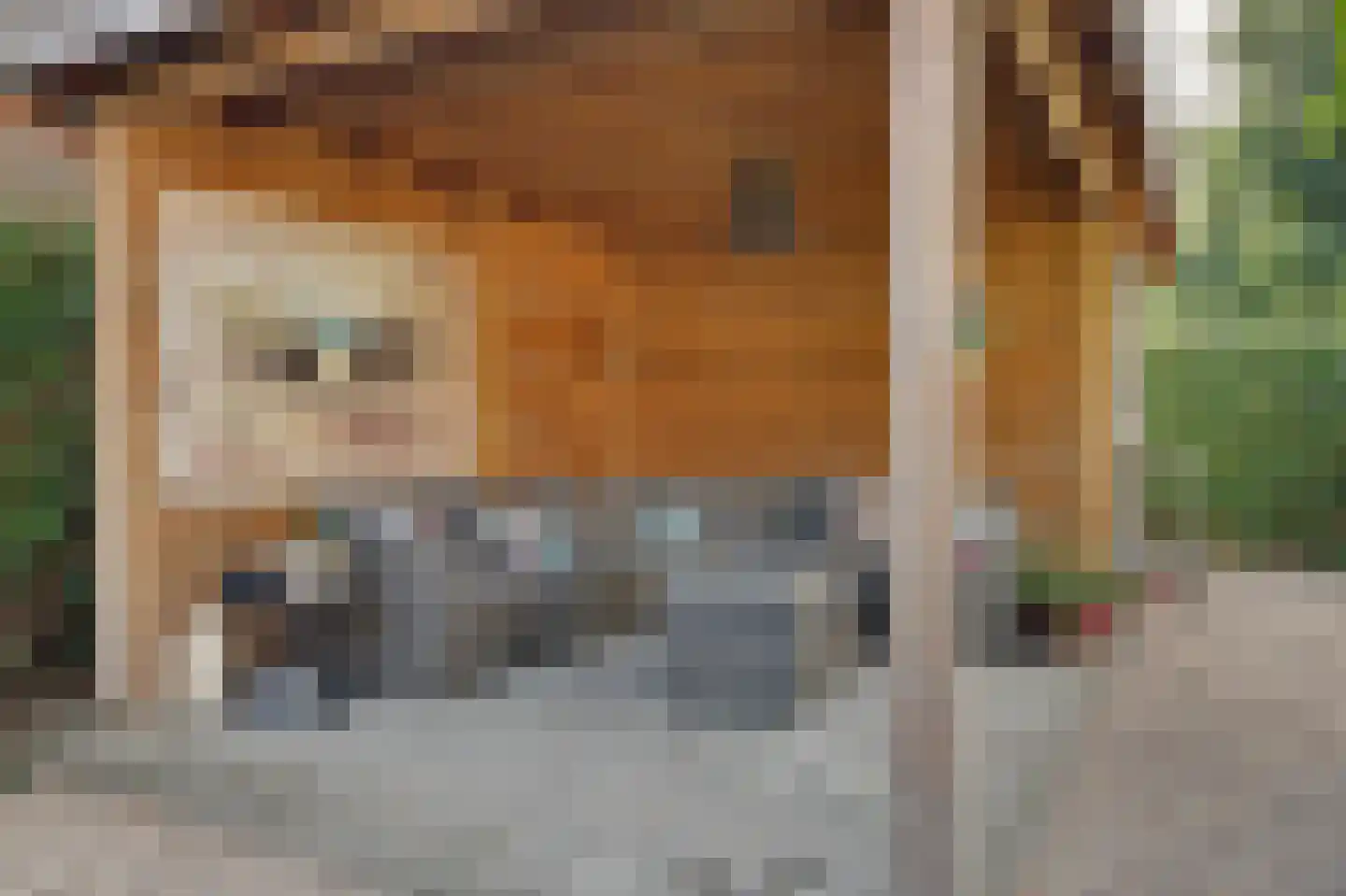 Sagittastraat 1 Rockanje thumbnail 34