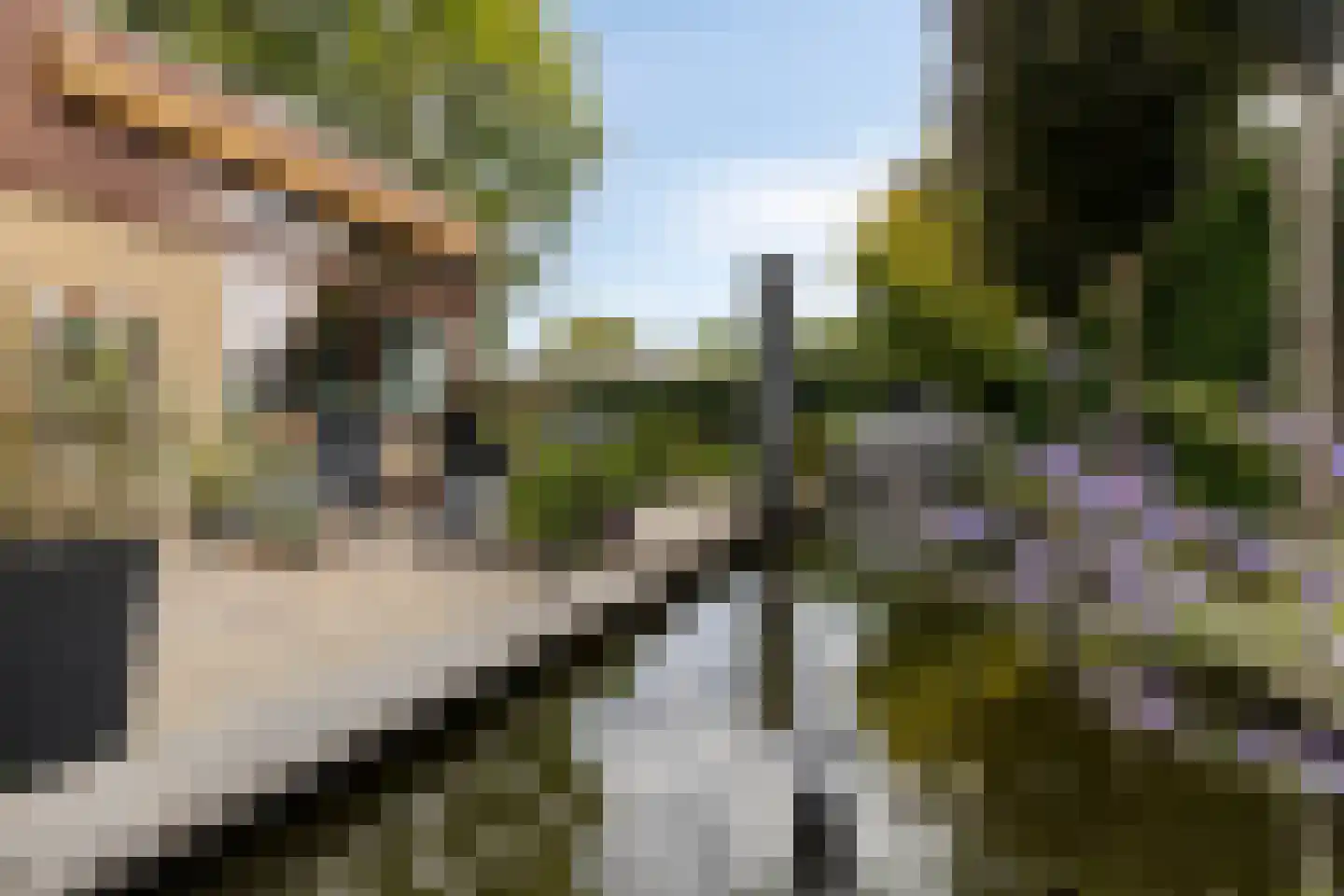 Sagittastraat 1 Rockanje thumbnail 4