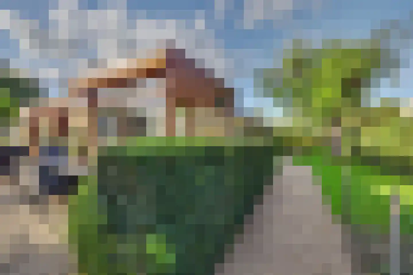 Sagittastraat 1 Rockanje thumbnail 41