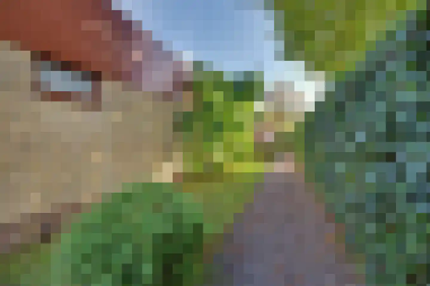 Sagittastraat 1 Rockanje thumbnail 42
