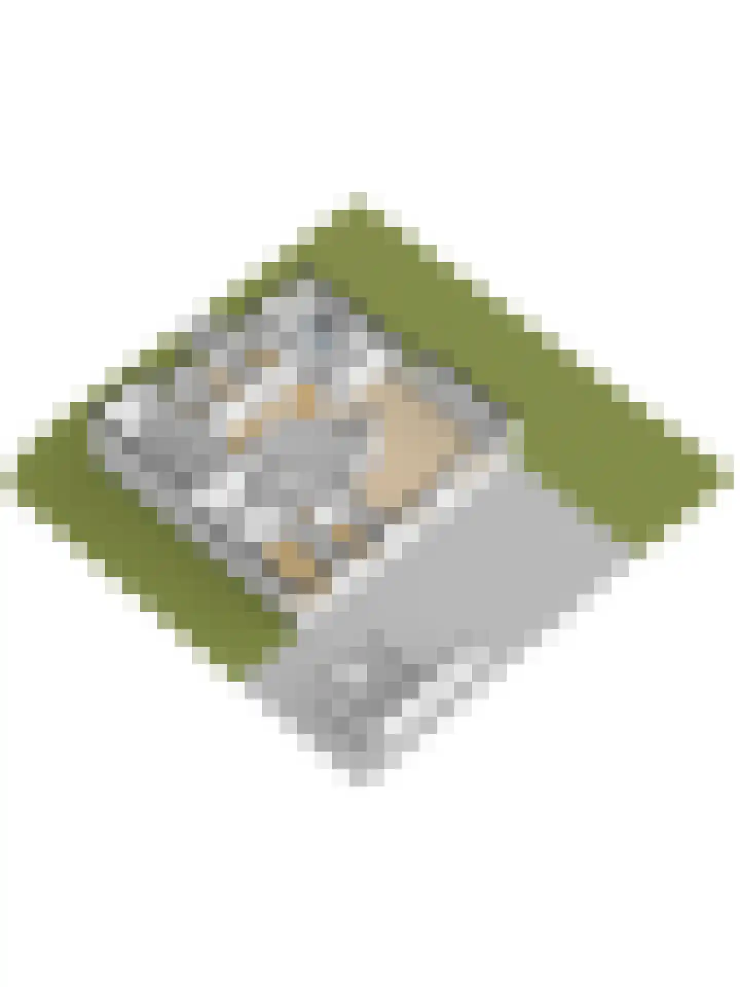 Sagittastraat 1 Rockanje thumbnail 55