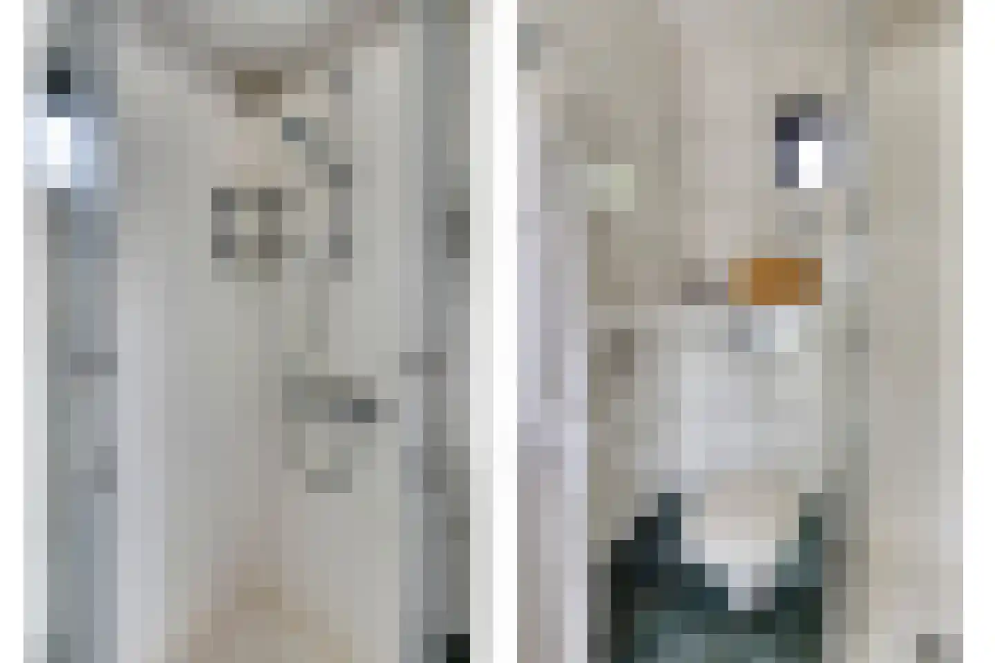 Sagittastraat 1 Rockanje thumbnail 7