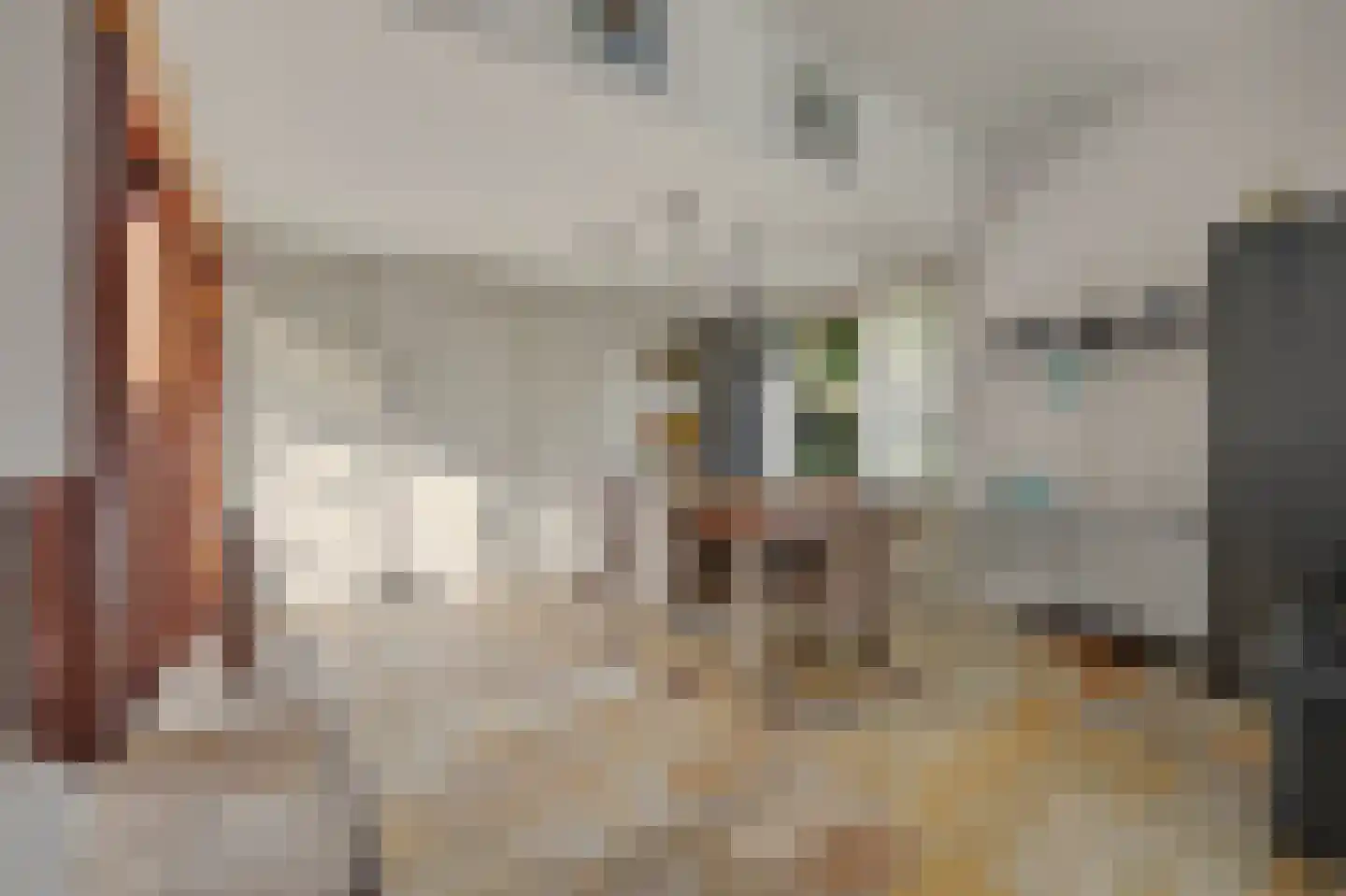 Sagittastraat 1 Rockanje thumbnail 9