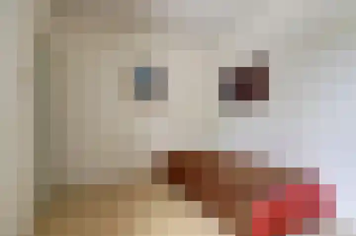Sagittastraat 4 Rockanje thumbnail 18