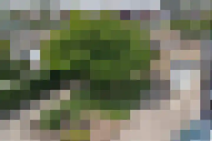 Sagittastraat 4 Rockanje thumbnail 21