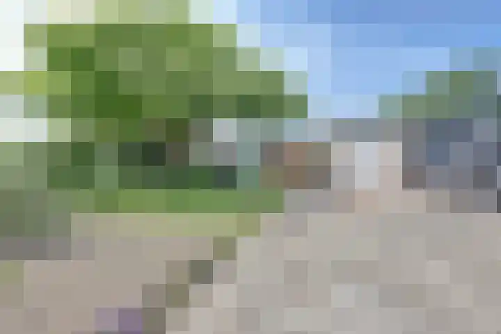 Sagittastraat 4 Rockanje thumbnail 22