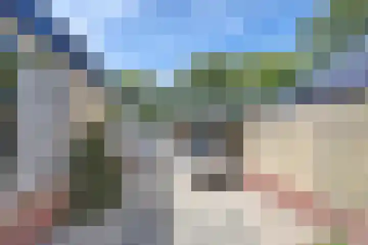 Sagittastraat 4 Rockanje thumbnail 23