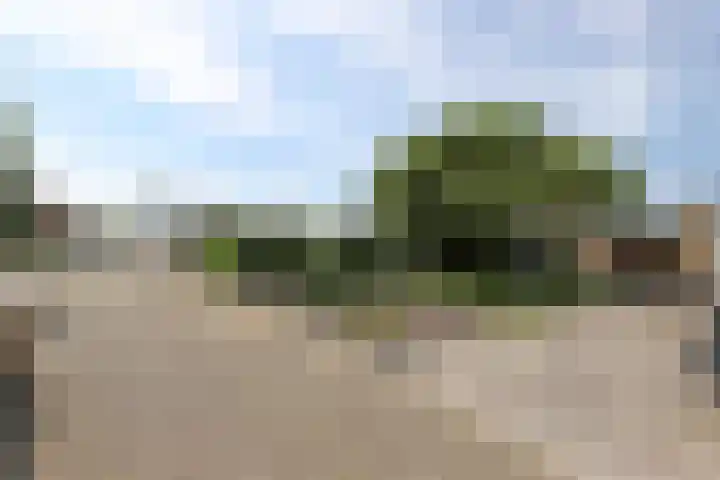 Sagittastraat 4 Rockanje thumbnail 26