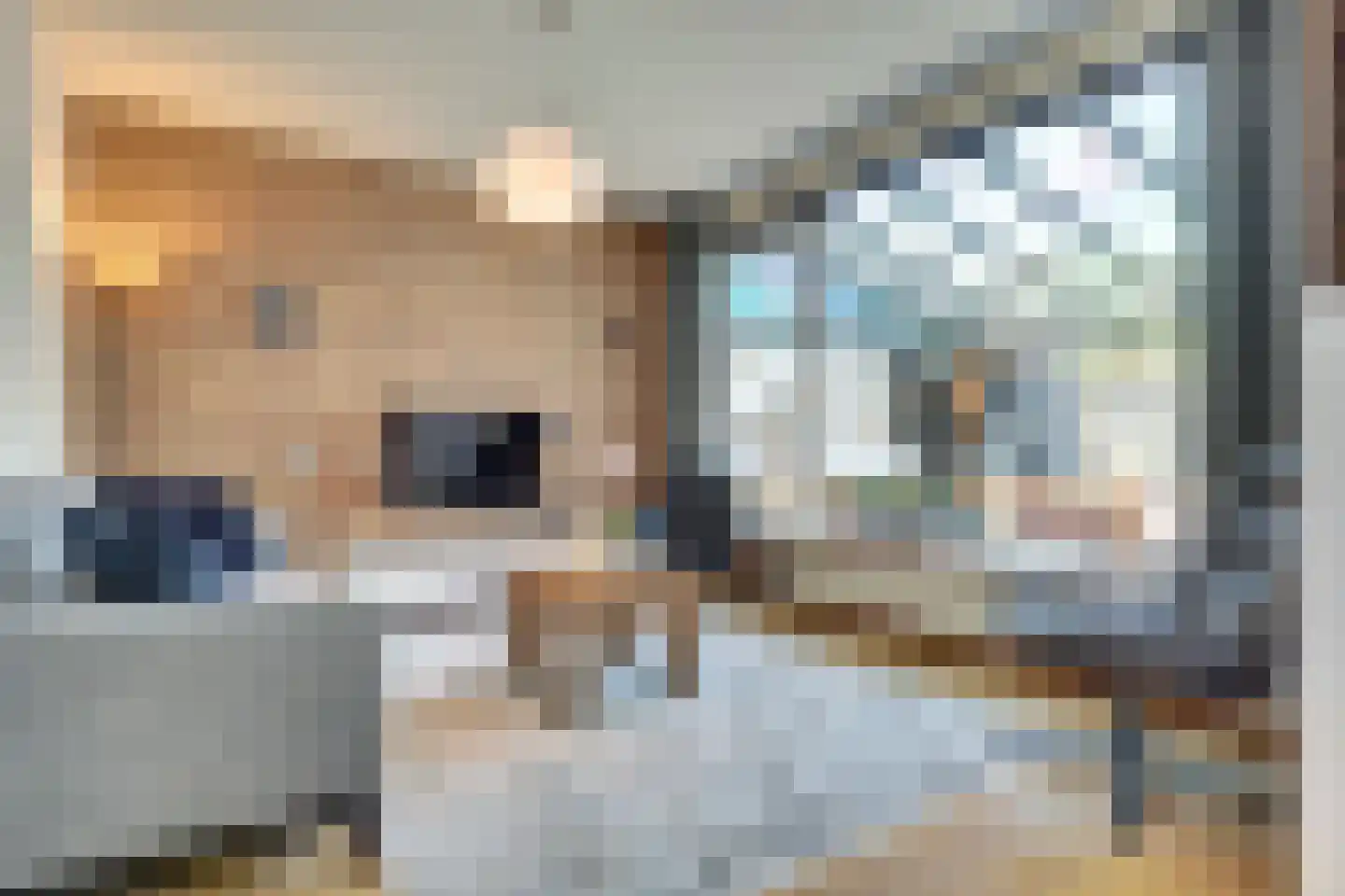 Sagittastraat 6 Rockanje thumbnail 14