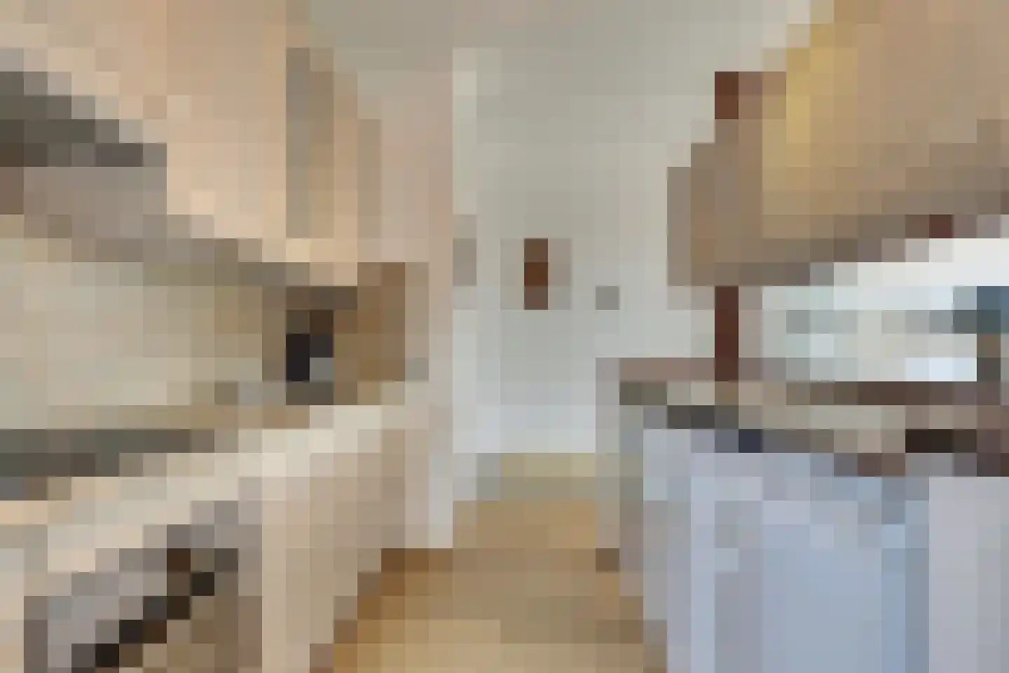 Sagittastraat 6 Rockanje thumbnail 19