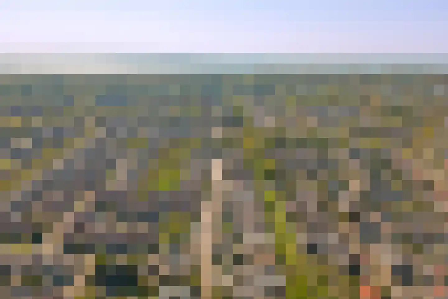 Sagittastraat 6 Rockanje thumbnail 37