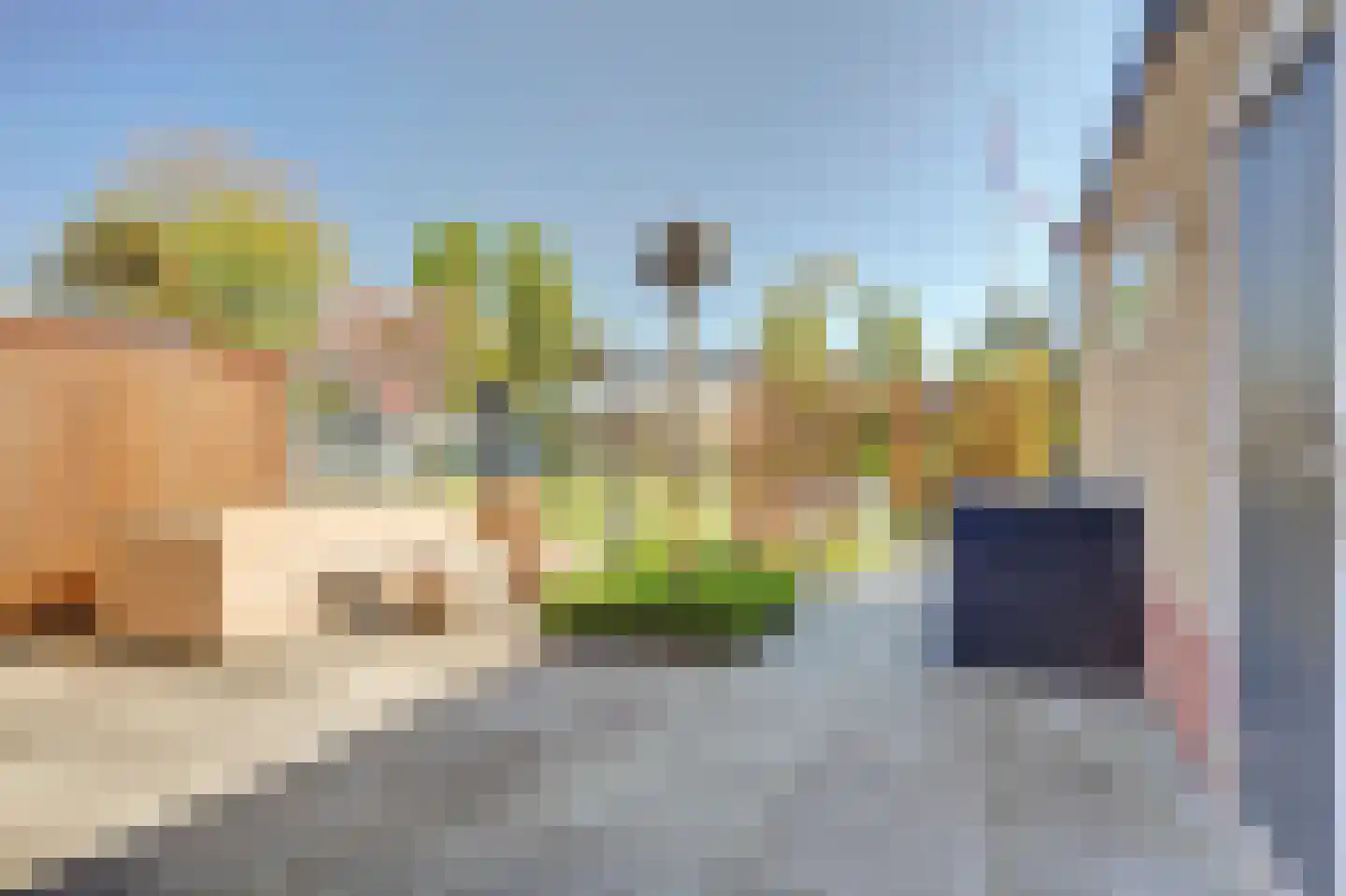 Sagittastraat 6 Rockanje thumbnail 9