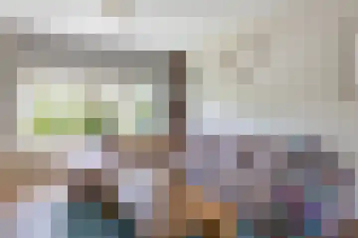Sagittastraat 6 Spijkenisse thumbnail 12
