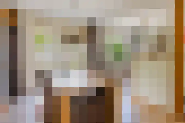 Sagittastraat 6 Spijkenisse thumbnail 16