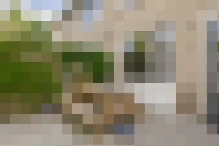 Sagittastraat 6 Spijkenisse thumbnail 23