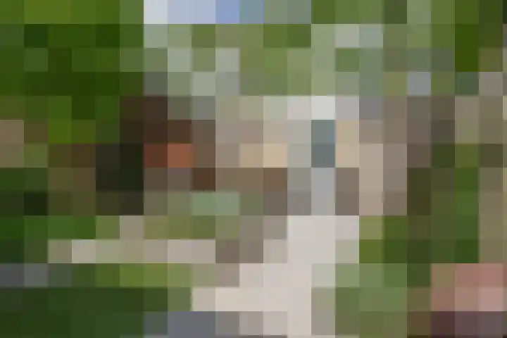 Sagittastraat 6 Spijkenisse thumbnail 24