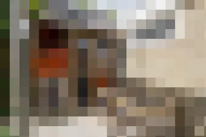 Sagittastraat 6 Spijkenisse thumbnail 26