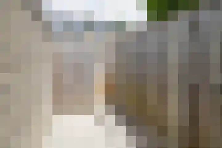 Sagittastraat 6 Spijkenisse thumbnail 27
