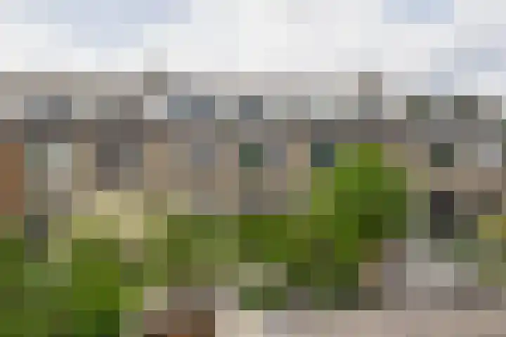 Sagittastraat 6 Spijkenisse thumbnail 28
