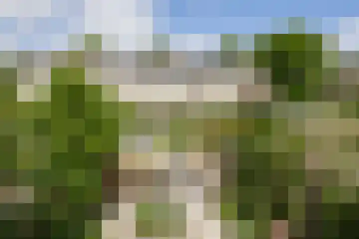 Sagittastraat 6 Spijkenisse thumbnail 29