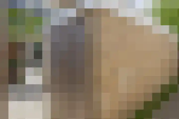 Sagittastraat 6 Spijkenisse thumbnail 30