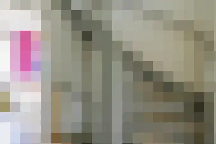 Sagittastraat 6 Spijkenisse thumbnail 31