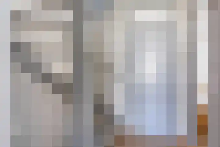 Sagittastraat 6 Spijkenisse thumbnail 32