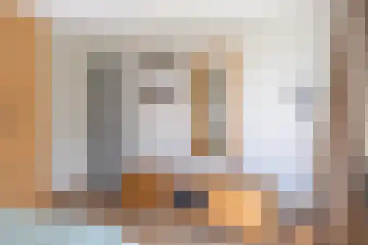 Sagittastraat 6 Spijkenisse thumbnail 34