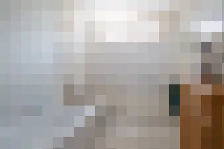 Sagittastraat 6 Spijkenisse thumbnail 35