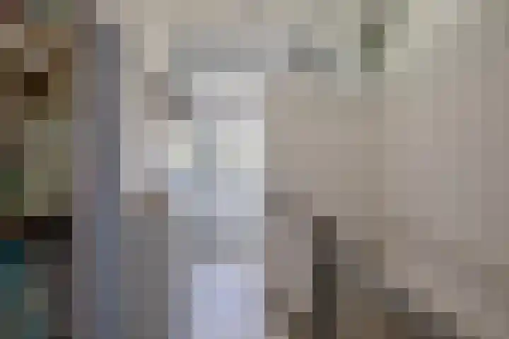 Sagittastraat 6 Spijkenisse thumbnail 39